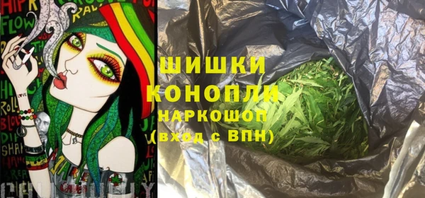 молекула духа Няндома