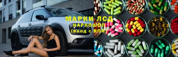 спайс Алзамай