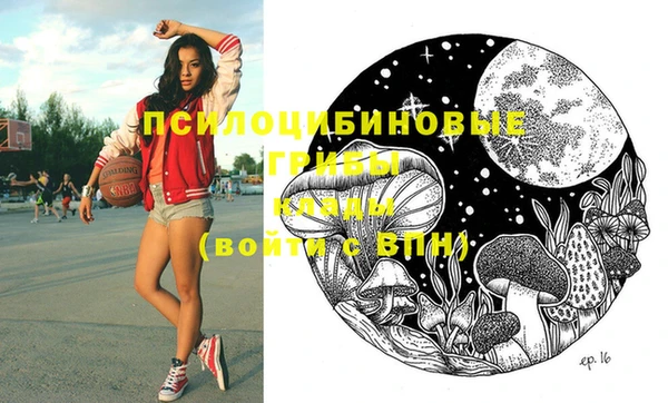 шишки Нязепетровск